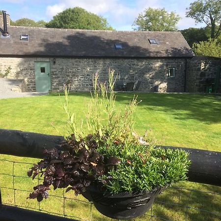 Llanddeiniol The Bakeryヴィラ エクステリア 写真