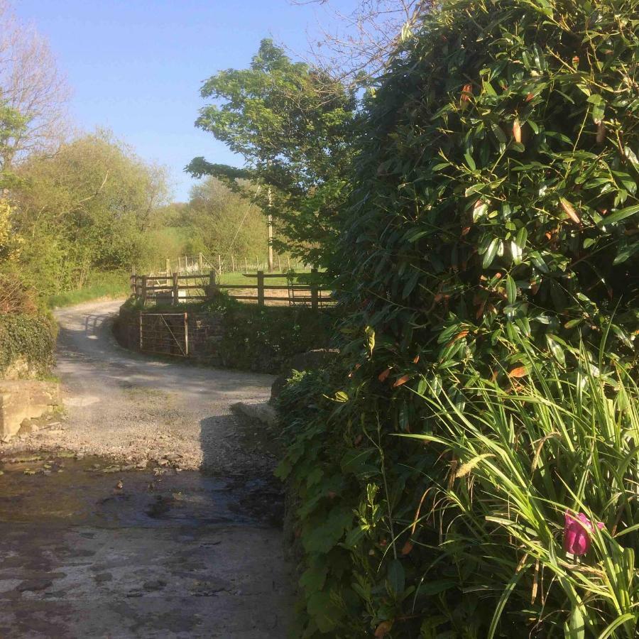 Llanddeiniol The Bakeryヴィラ エクステリア 写真